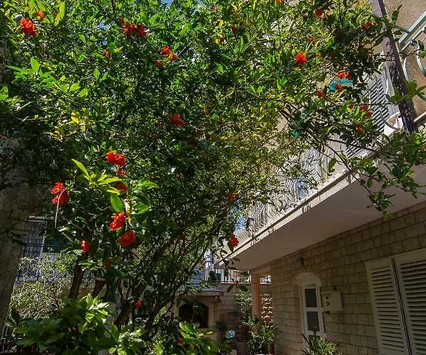 A&b Guest house Makarska